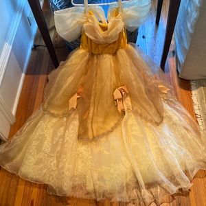 Belle Halloween Costume- Dress Only